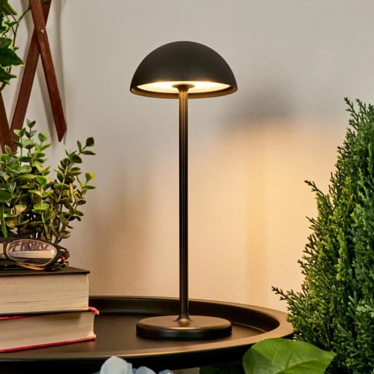Lampe à poser Pelaro LED Noir, 1 lumière