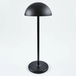 Lampe à poser Pelaro LED Noir, 1 lumière