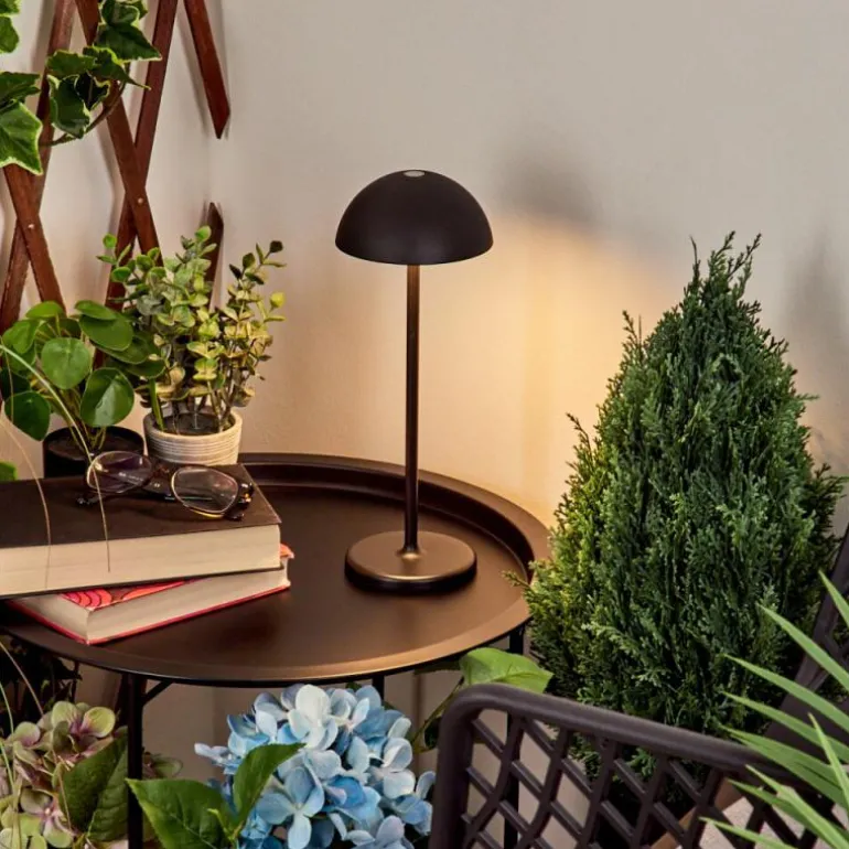 Lampe à poser Pelaro LED Noir, 1 lumière