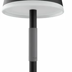Lampe à poser Philips Hue Go LED Gris, Noir, 1 lumière, Changeur de couleurs