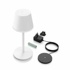 Lampe à poser Philips Hue Go LED Vert, Blanc, 1 lumière, Changeur de couleurs