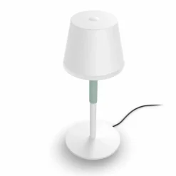 Lampe à poser Philips Hue Go LED Vert, Blanc, 1 lumière, Changeur de couleurs