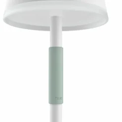 Lampe à poser Philips Hue Go LED Vert, Blanc, 1 lumière, Changeur de couleurs