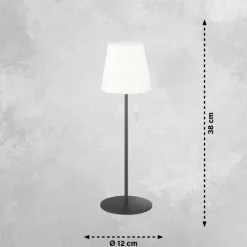 Lampe à poser SCHÖNER WOHNEN-Kollektion Talent LED Anthracite, 1 lumière, Télécommandes, Changeur de couleurs