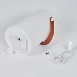 Lampe à poser Tacuala LED Brun, Blanc, 1 lumière, Changeur de couleurs