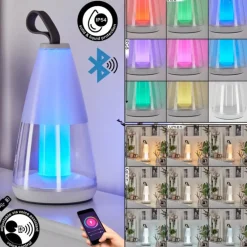 Lampe à poser Yari LED Gris, Transparent, Blanc, 1 lumière, Télécommandes, Changeur de couleurs