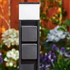 lampe à prise électrique Papacal LED Noir, 1 lumière