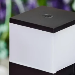 lampe à prise électrique Papacal LED Noir, 1 lumière