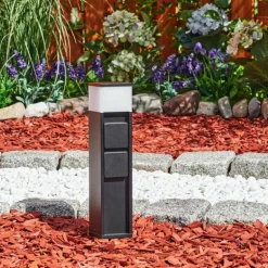 lampe à prise électrique Papacal LED Noir, 1 lumière