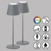 Lampe de table 2 set FHL easy Cosenza LED Gris, 1 lumière, Changeur de couleurs