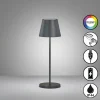 Lampe de table FHL easy Cosenza 2.0 LED Noir, 1 lumière, Changeur de couleurs