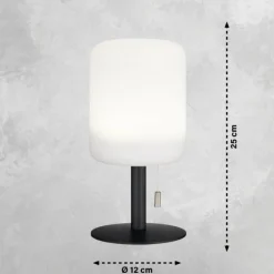 Lampe de table FHL easy Larino LED Anthracite, 1 lumière, Changeur de couleurs