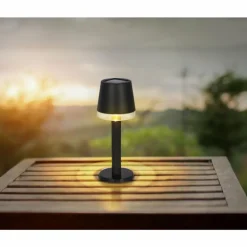 Lampe de table Globo SOLAR LED Noir, Transparent, 1 lumière