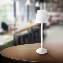 Lampe de table Globo VANNIE LED Blanc, 1 lumière