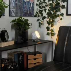 Lampe de table iDual Lilac LED Argenté, 1 lumière, Télécommandes, Changeur de couleurs