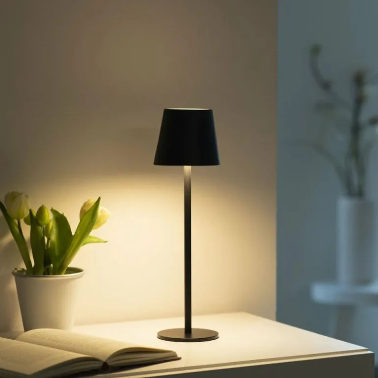 Lampe de table Leuchten-Direkt EURIA LED Noir, 1 lumière