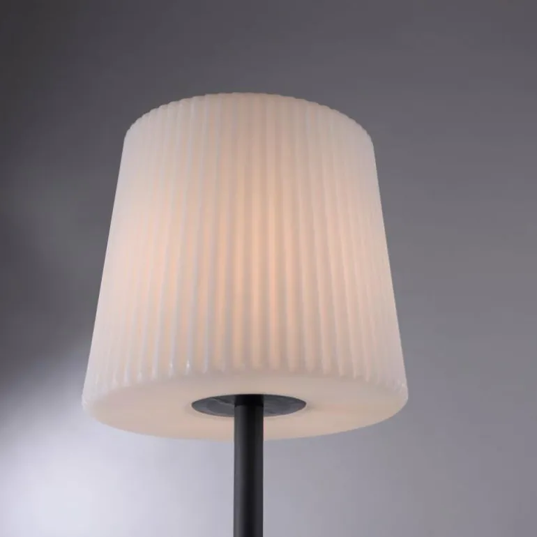 Lampe de table Paul Neuhaus FALTER Anthracite, 1 lumière