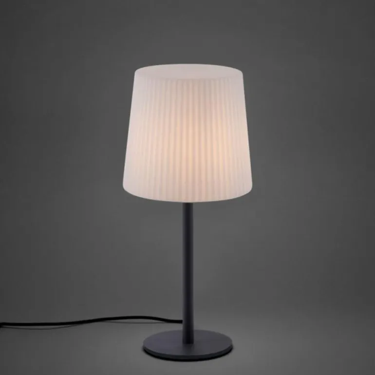 Lampe de table Paul Neuhaus FALTER Anthracite, 1 lumière