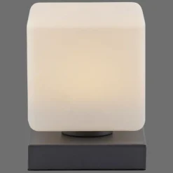 Lampe de table Paul Neuhaus DADOA LED Anthracite, 1 lumière