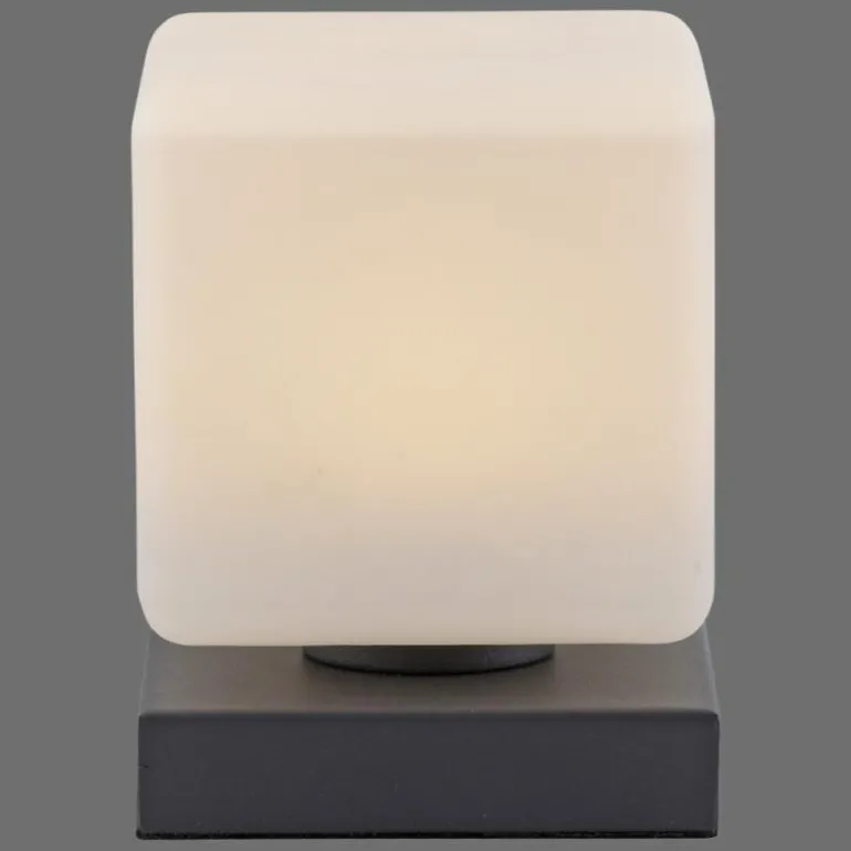 Lampe de table Paul Neuhaus DADOA LED Anthracite, 1 lumière