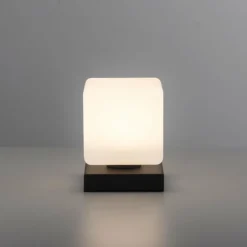Lampe de table Paul Neuhaus DADOA LED Anthracite, 1 lumière