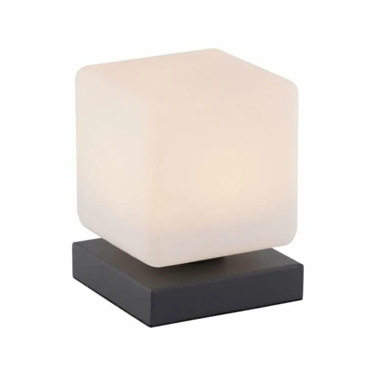 Lampe de table Paul Neuhaus DADOA LED Anthracite, 1 lumière
