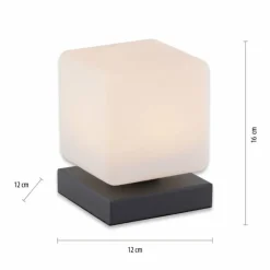 Lampe de table Paul Neuhaus DADOA LED Anthracite, 1 lumière