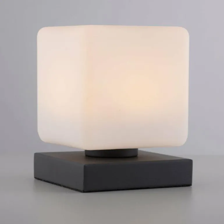 Lampe de table Paul Neuhaus DADOA LED Anthracite, 1 lumière