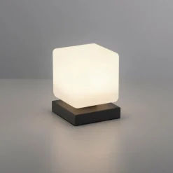 Lampe de table Paul Neuhaus DADOA LED Anthracite, 1 lumière