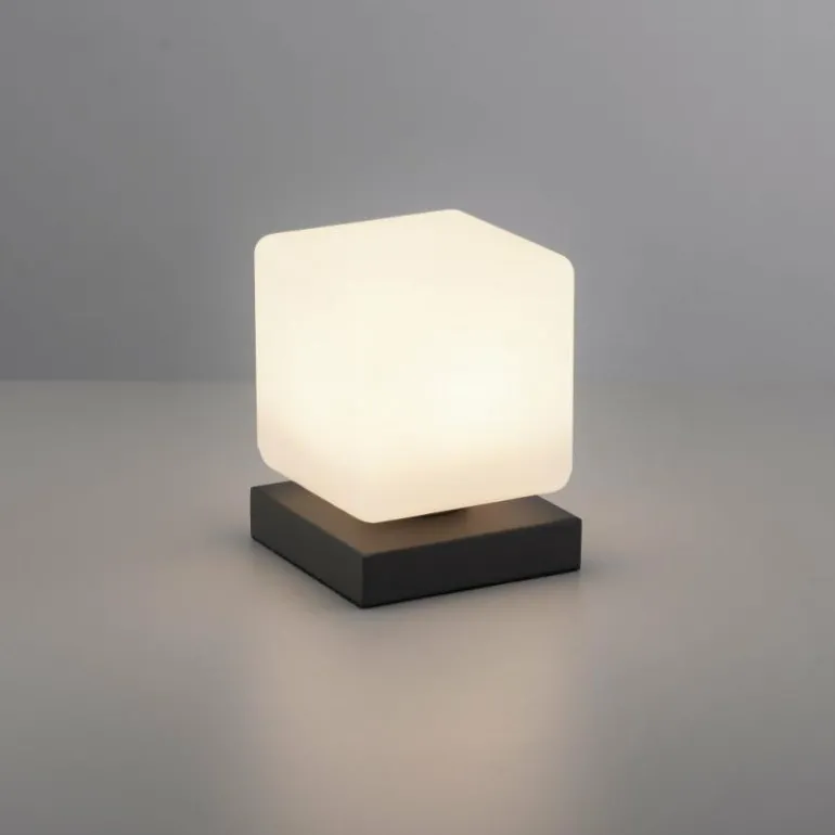 Lampe de table Paul Neuhaus DADOA LED Anthracite, 1 lumière