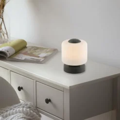 Lampe de table Paul Neuhaus BOTA LED Anthracite, 1 lumière