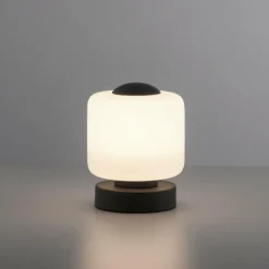 Lampe de table Paul Neuhaus BOTA LED Anthracite, 1 lumière