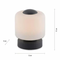 Lampe de table Paul Neuhaus BOTA LED Anthracite, 1 lumière