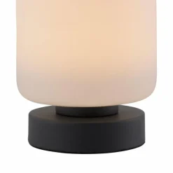 Lampe de table Paul Neuhaus BOTA LED Anthracite, 1 lumière