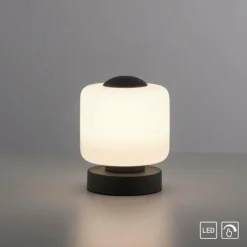 Lampe de table Paul Neuhaus BOTA LED Anthracite, 1 lumière