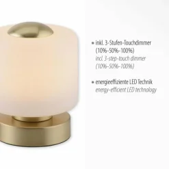 Lampe de table Paul Neuhaus BOTA LED Laiton, 1 lumière