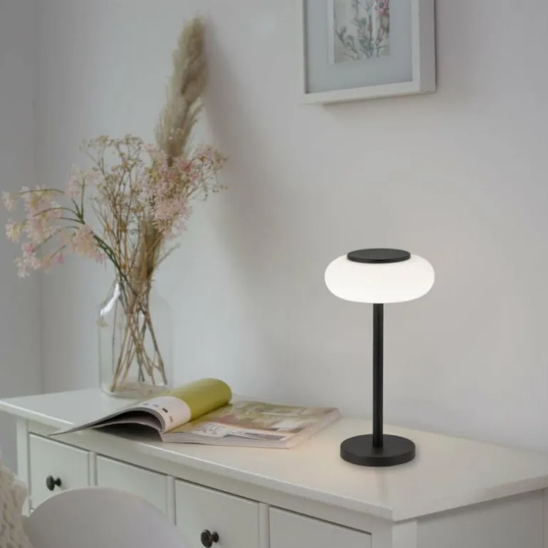 Lampe de table Paul Neuhaus Q-ETIENNE LED Noir, 1 lumière, Télécommandes