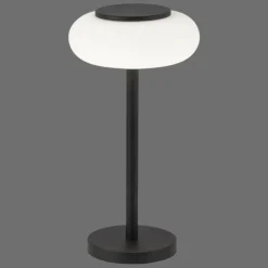 Lampe de table Paul Neuhaus Q-ETIENNE LED Noir, 1 lumière, Télécommandes