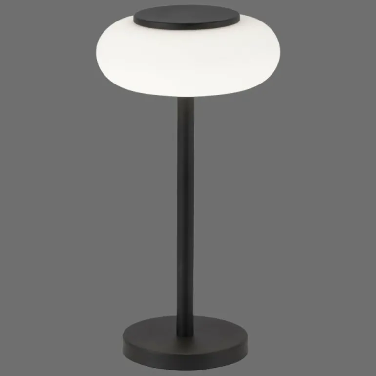 Lampe de table Paul Neuhaus Q-ETIENNE LED Noir, 1 lumière, Télécommandes