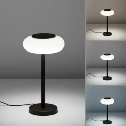 Lampe de table Paul Neuhaus Q-ETIENNE LED Noir, 1 lumière, Télécommandes