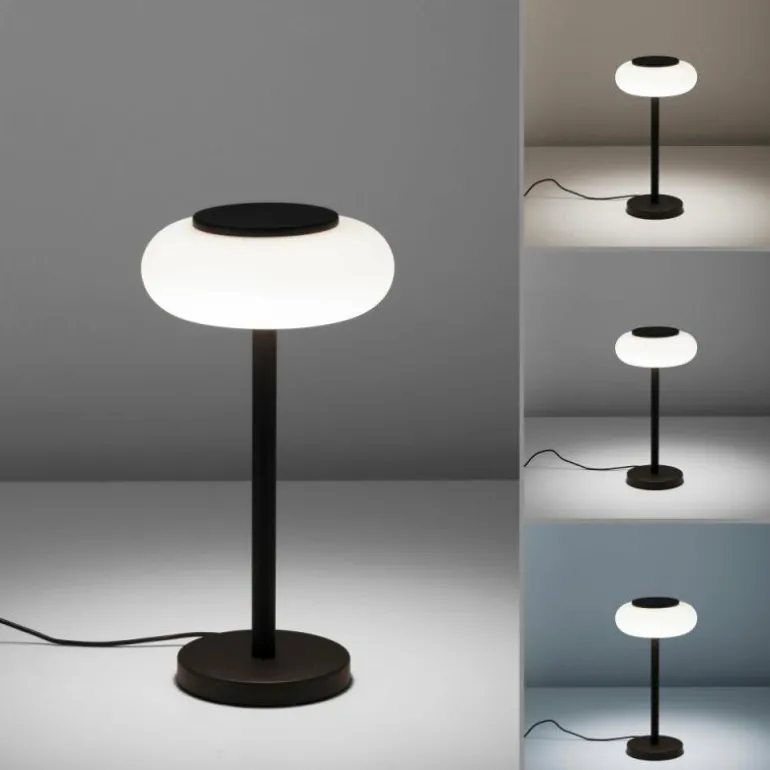 Lampe de table Paul Neuhaus Q-ETIENNE LED Noir, 1 lumière, Télécommandes