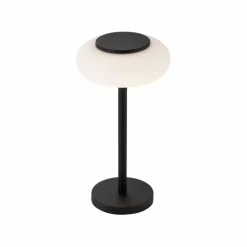 Lampe de table Paul Neuhaus Q-ETIENNE LED Noir, 1 lumière, Télécommandes