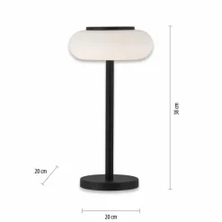 Lampe de table Paul Neuhaus Q-ETIENNE LED Noir, 1 lumière, Télécommandes