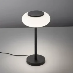 Lampe de table Paul Neuhaus Q-ETIENNE LED Noir, 1 lumière, Télécommandes