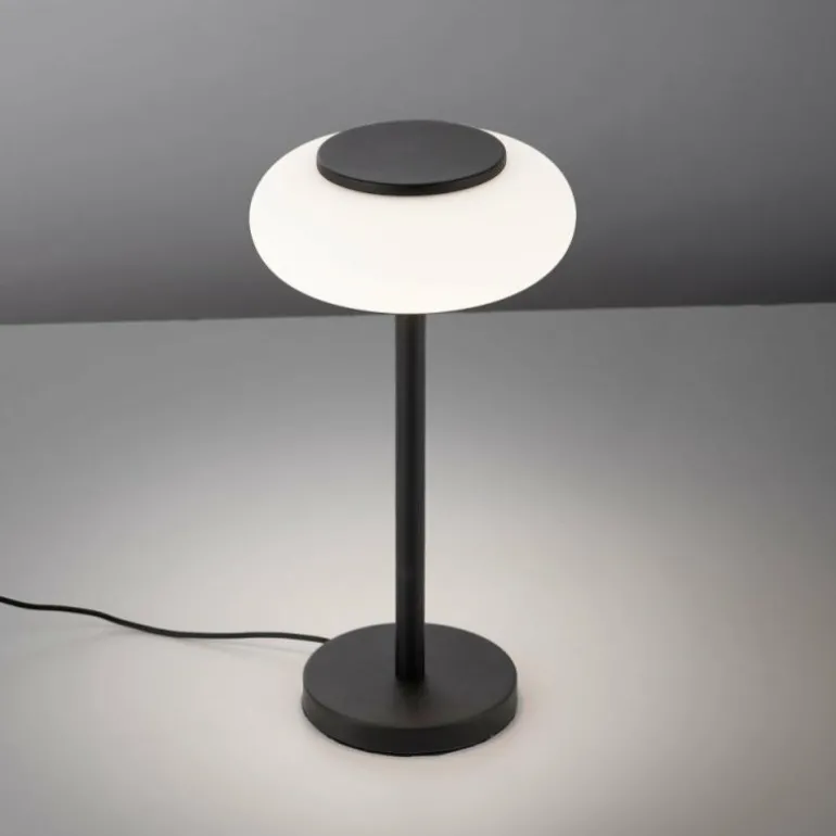 Lampe de table Paul Neuhaus Q-ETIENNE LED Noir, 1 lumière, Télécommandes