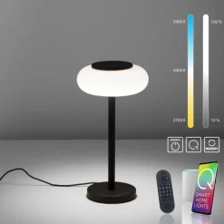 Lampe de table Paul Neuhaus Q-ETIENNE LED Noir, 1 lumière, Télécommandes