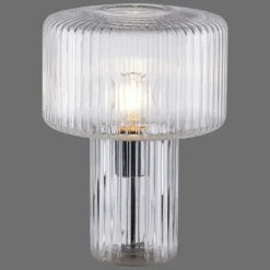 Lampe de table Paul Neuhaus FUNGUS Transparent, 1 lumière