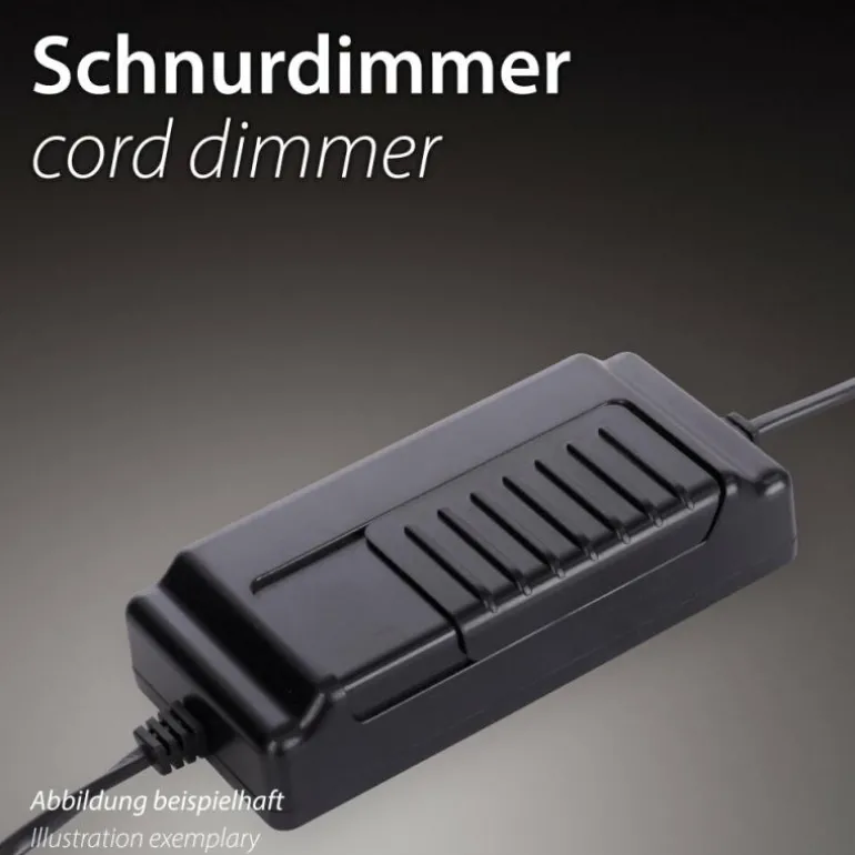 Lampe de table Paul Neuhaus BRILLA LED Argenté, 1 lumière