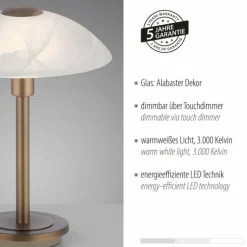 Lampe de table Paul Neuhaus ENOVA LED Vieux laiton, 1 lumière