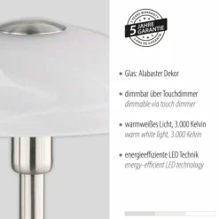 Lampe de table Paul Neuhaus ENOVA LED Argenté, 1 lumière